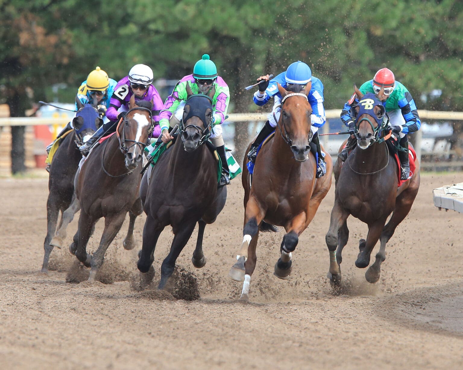 Live Racing at Canterbury Park - Experience Burnsville